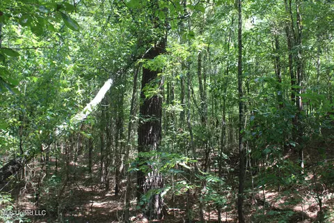 0 E Cox Rd, Byhalia, MS 38611 photo 23