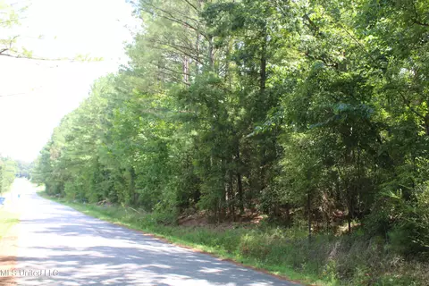 0 E Cox Rd, Byhalia, MS 38611 photo 18