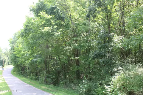 0 E Cox Rd, Byhalia, MS 38611 photo 28