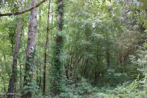 0 E Cox Rd, Byhalia, MS 38611 photo 26