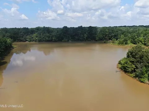 0 E Cox Rd, Byhalia, MS 38611 photo 13