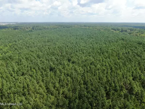 0 E Cox Rd, Byhalia, MS 38611 photo 15