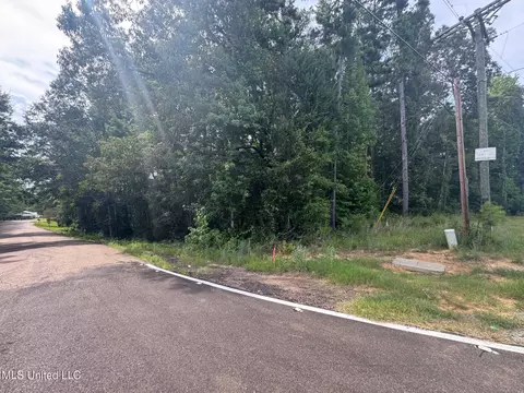 N Hwy 469, Pearl, MS 39208 photo 10