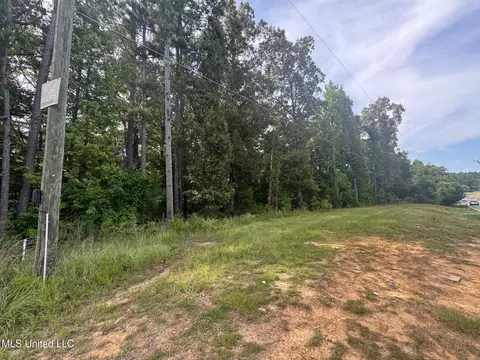 N Hwy 469, Pearl, MS 39208 photo 9