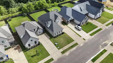 View/Area - 5252 Watson View Dr, Nesbit, MS 38651 photo 3 of 4