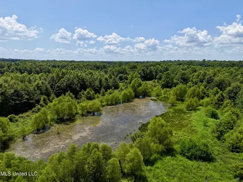 0001 Mannie Rd, Cary, MS 39054 photo 28