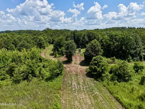 0001 Mannie Rd, Cary, MS 39054 photo 30