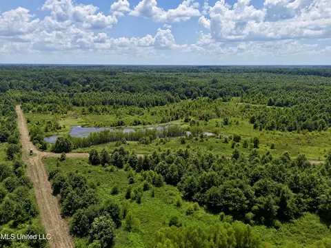 0001 Mannie Rd, Cary, MS 39054 photo 36
