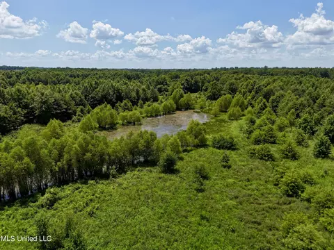 0001 Mannie Rd, Cary, MS 39054 photo 25