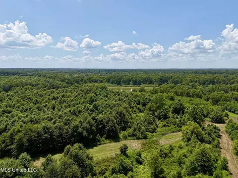 0001 Mannie Rd, Cary, MS 39054 photo 18