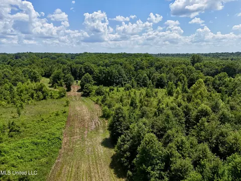 0001 Mannie Rd, Cary, MS 39054 photo 31