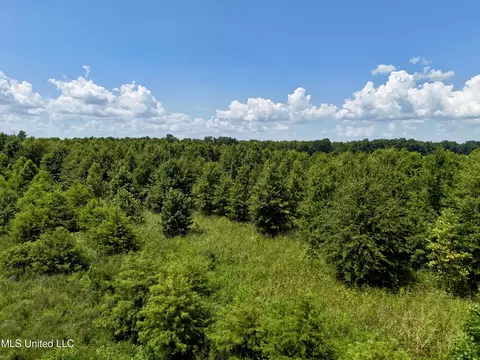 0001 Mannie Rd, Cary, MS 39054 photo 29