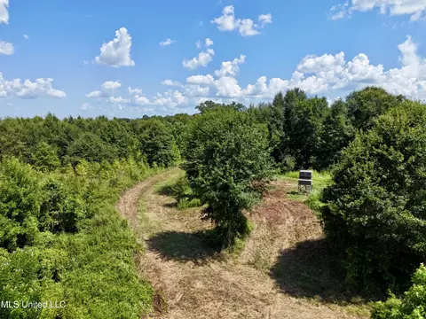 0001 Mannie Rd, Cary, MS 39054 photo 9