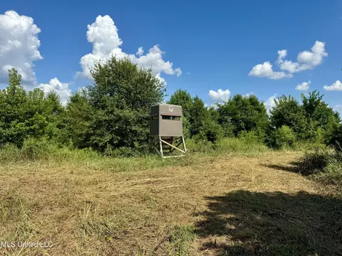 0001 Mannie Rd, Cary, MS 39054 photo 15