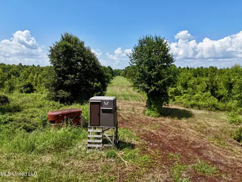 0001 Mannie Rd, Cary, MS 39054 photo 3