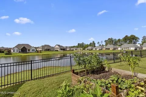 313 Royal Pond Cir, Flowood, MS 39232 photo 31