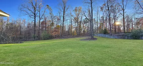 Exterior - 10117 Emerald Forest Dr, Hernando, MS 38632 photo 3 of 3