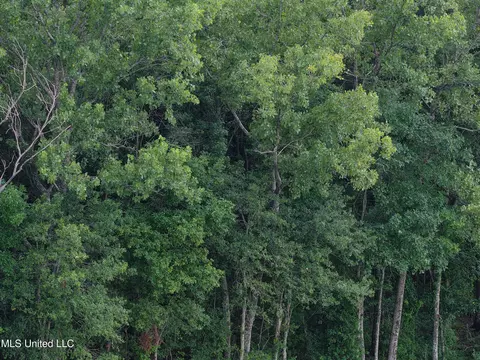 E River Road, Anguilla, MS 38721 photo 9