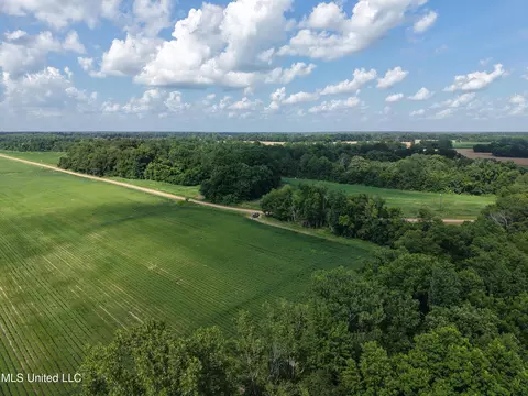 E River Road, Anguilla, MS 38721 photo 11