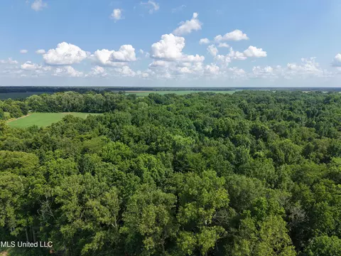 E River Road, Anguilla, MS 38721 photo 6