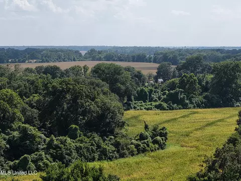 E River Road, Anguilla, MS 38721 photo 7