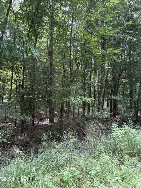 E River Road, Anguilla, MS 38721 photo 4