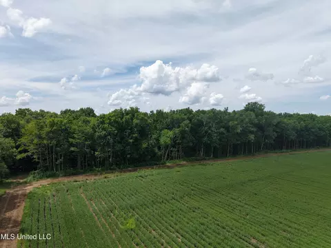 E River Road, Anguilla, MS 38721 photo 10