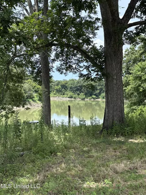E River Road, Anguilla, MS 38721 photo 3