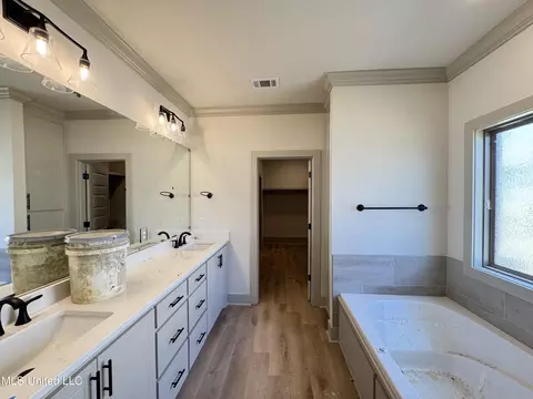 Bath - 915 Brunswick Ct, Flowood, MS 39232 photo 2 of 5