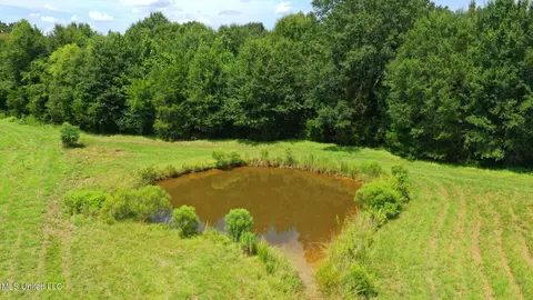 0 Russell Rd, Flora, MS 39071 photo 3