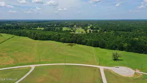 0 Russell Rd, Flora, MS 39071 photo 11