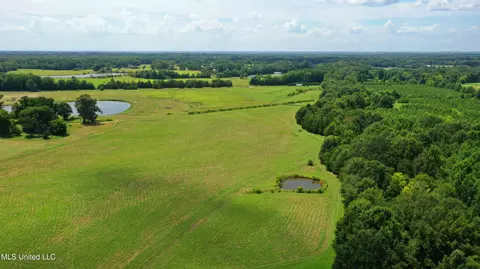 0 Russell Rd, Flora, MS 39071 photo 5