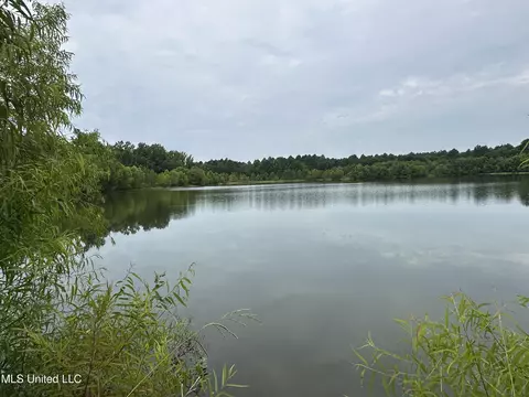 Canton Parkway, Canton, MS 39046 photo 2