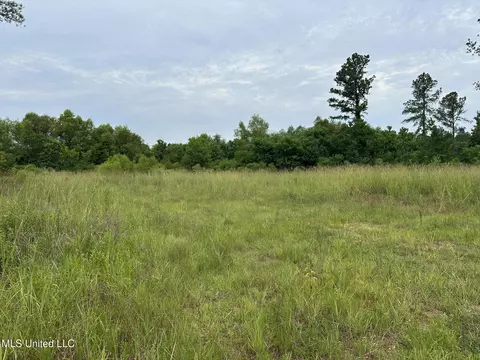Canton Parkway, Canton, MS 39046 photo 9