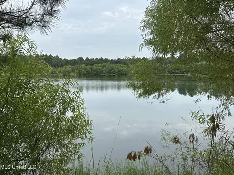 Canton Parkway, Canton, MS 39046 photo 3