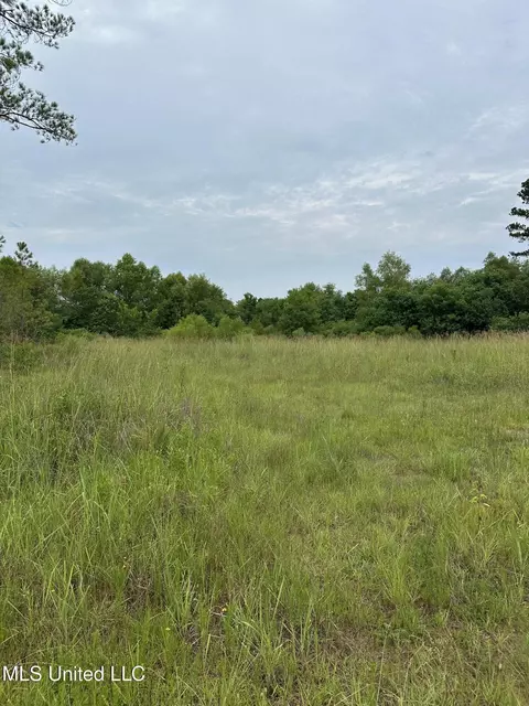 Canton Parkway, Canton, MS 39046 photo 10