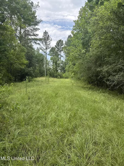 Canton Parkway, Canton, MS 39046 photo 12