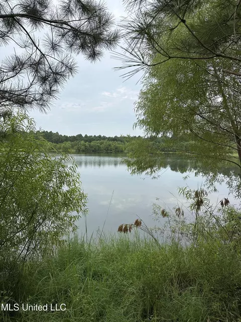 Canton Parkway, Canton, MS 39046 photo 4