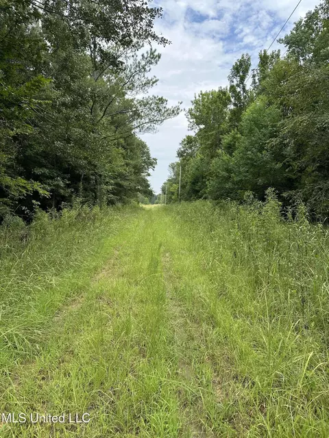 Canton Parkway, Canton, MS 39046 photo 8