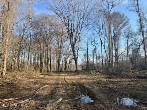 Pecan Orchard Road, Liberty, MS 39645