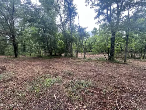 0 Ms-18, Raymond, MS 39154 photo 21