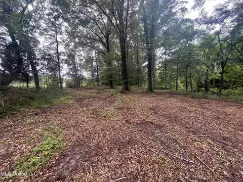 0 Ms-18, Raymond, MS 39154 photo 22