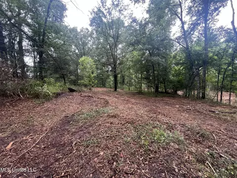 0 Ms-18, Raymond, MS 39154 photo 20