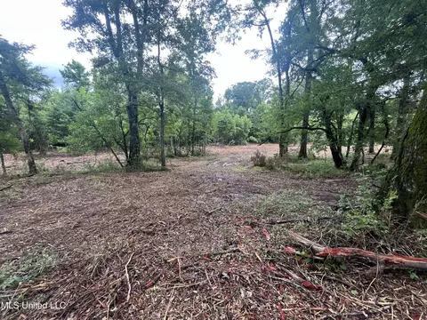 0 Ms-18, Raymond, MS 39154 photo 19
