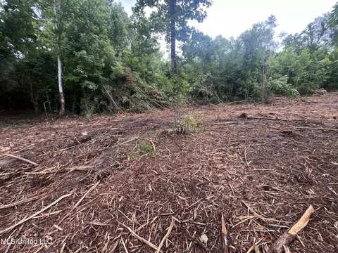 0 Ms-18, Raymond, MS 39154 photo 6