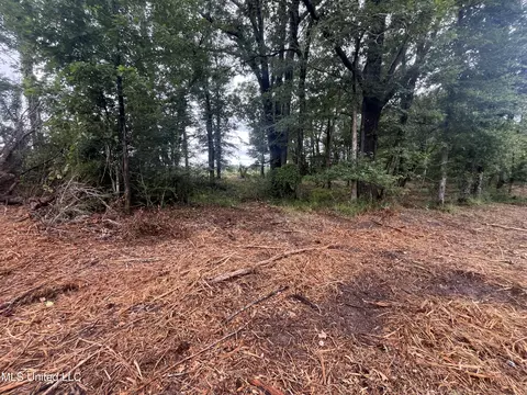 0 Ms-18, Raymond, MS 39154 photo 8