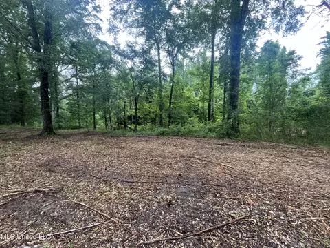 0 Ms-18, Raymond, MS 39154 photo 3