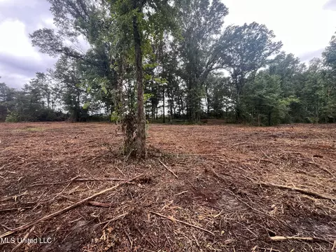 0 Ms-18, Raymond, MS 39154 photo 5
