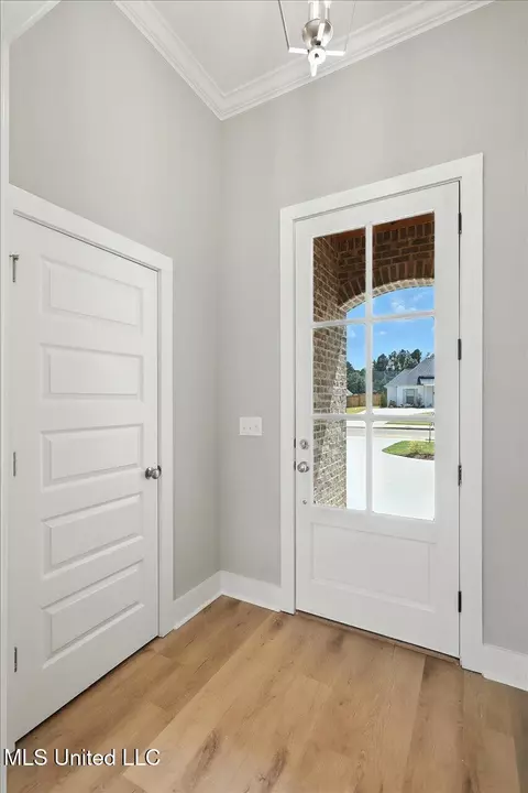 Entry Way - 913 Brunswick Ct, Flowood, MS 39232 photo 1 of 1