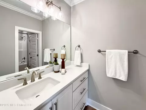 Bath - 913 Brunswick Ct, Flowood, MS 39232 photo 4 of 5
